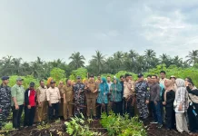 Posal Bengkalis Panen Raya Ubi Dukung Swasembada Pangan Nasional