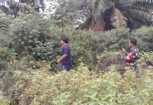 Babinsa Koramil Merbau Intensif Patroli Karhutla, Nihil Titik Api