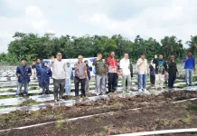 Polbeng Dampingi Petani Milenial Kembangkan Budidaya Cabai Berbasis Teknologi