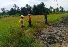Babinsa dan Warga Sisir Rawan Karhutla, Tegaskan Larangan Bakar Lahan