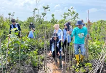 Kukerta UNRI Tanam Mangrove di Selatbaru, Perkuat Upaya Penanggulangan Abrasi