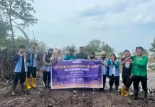 Mahasiswa Kukerta UNRI Tanam Mangrove Cegah Abrasi Selatbaru Bersama