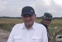Panen Raya Padi Serentak, Desa Sepotong Jadi Lokasi Virtual bersama Presiden