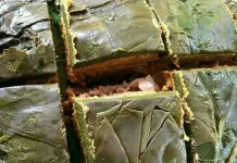 Pendap, Kuliner Khas Bengkulu yang Kaya Rempah dengan Cita Rasa Gurih Pedas