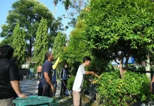 Diskominfotik Gelar Gotong Royong Sambut Hari Jadi Bengkalis