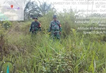 Babinsa Mandau Gencarkan Patroli Cegah Titik Api Karhutla