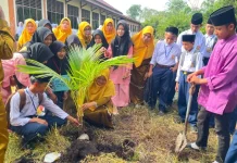 MTs Daarussalam Tanamkan Karakter Melalui Tanam Pohon Seribu Guna