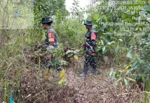 Patroli Babinsa Mandau Cegah Hotspot Karhutla di Desa