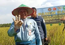 Pemkab Bengkalis Ajak Masyarakat Berinovasi Dorong Panen Padi Tiga Kali Setahun