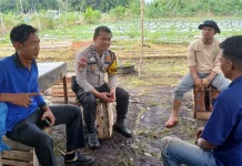 Bhabinkamtibmas Pambang Baru Dukung Swasembada lewat Tanam Jagung
