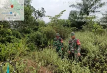 Babinsa 03/Mandau Perkuat Patroli Cegah Karhutla sejak Dini