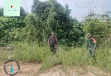 Babinsa Mandau Intensifkan Patroli Cegah Titik Api