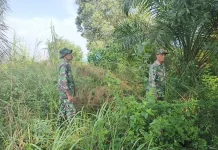Babinsa Koramil Mandau Patroli Titik Api di Pematang Pudu