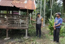 Bhabinkamtibmas Bantan Timur Dukung Asta Cita lewat Ternak Kambing