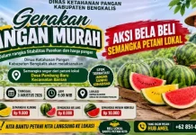 Bela Beli Semangka Lokal, DKP Bengkalis Gelar Gerakan Pangan Murah