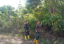 Patroli Intesif Babinsa 03/Mandau Cegah Titik Api Karhutla