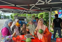 Penjualan Kedua Semangka Gambut Bengkalis Kembali Diserbu Pembeli