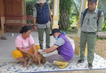 Tiga Kasus Rabies Ditemukan di Bengkalis, Warga Diminta Waspada