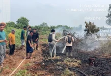 Karhutla Bengkalis: Buluh Apo Masih Sisakan Titik Api