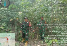 Rutinitas Babinsa Mandau Cegah Karhutla Dengan Patroli