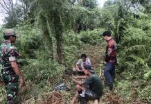 Babinsa dan Warga Patroli Karhutla, Tak Temukan Titik Api di Mengkirau