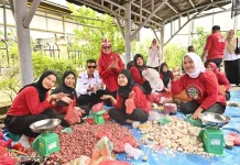 Gerakan Pangan Murah Bengkalis Sempena HUT ke-81 RI