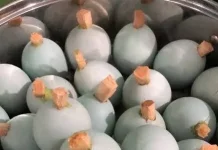 Telok Ukan, Warisan Kuliner Palembang yang Hampir Punah