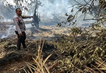 Hari Keempat, Tim Gabungan Perkuat Pendinginan Karlahut di Temeran