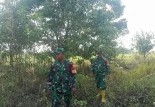 Patroli Cegah Karhutla Terus dilakukan Babinsa Mandau