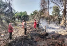 Karhutla Tanjung Leban, Tim Gabungan Perkuat Pendinginan