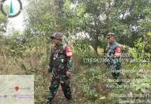 Babinsa Gencarkan Patroli Cegah Karhutla di Keamatan Pinggir
