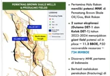 Kontrak MNK Resmi Diteken, Pertamina Berburu Cadangan Miliaran Shale Oil di Rokan