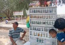 Kabut Asap Belum Mengganggu Aktivitas Warga