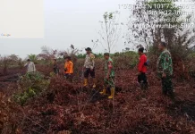 Hujan Lebat Padamkan Karhutla Buluh Apo, Tim Gabungan Tetap Waspada