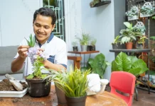 6 Ide Bisnis Tanaman Hias Modal Kecil yang Menguntungkan