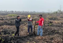 Karhutla Bongkar Aktivitas Ilegal, Pemilik Lahan di Pematang Pudu Jadi Tersangka