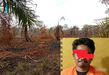 Polres Bengkalis Tetapkan Pemilik Kebun Sawit di Kawasan Hutan Jadi Tersangka