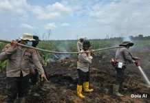 Polres Bengkalis Dinginkan Karhutla 12 Hektare di Talang Muandau