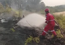 Response Cepat PHR Tangani Karhutla di Sekitar Wilayah Operasi