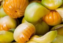 Buah Dengen, Buah Langka Dari Timur Indonesia yang Kaya Potensi