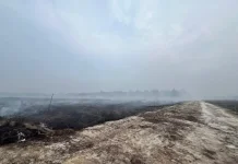 Karhutla Tasik Tebing Serai, Pria 76 Tahun Jadi Tersangka
