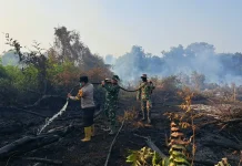 Karhutla Bengkalis Meluas, 6,3 Hektare Lahan Terbakar di Tiga Wilayah