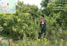 Cegah Karhutla, Babinsa Mandau Intensifkan Patroli