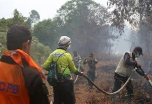 Sekda Meranti Turun Langsung Bantu Pemadaman Karhutla