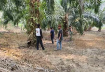 Cegah Karhutla, Babinsa dan Warga Patroli di Desa Sepotong