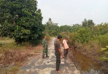 Cegah Karhutla, Babinsa dan MPA Patroli Rutin di Desa Insit