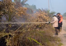 Bupati Kasmarni Turun Ikut Padamkan Karhutla Sungai Meranti
