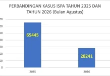 Kasus ISPA di Mandau Melonjak, Diduga Terkait Kabut Asap Karhutla