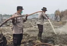 Api Belum Padam, Tim Gabungan Perkuat Penanganan Karhutla Bengkalis