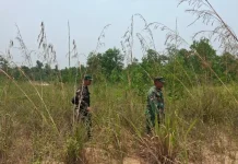 Babinsa Mandau Gencarkan Patroli Cegah Karhutla